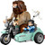 LEGO Harry Potter 76443 Hagrid & Harry's Ride