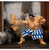  Jada Toys Ultra Street Fighter II E. Honda 1/12 Scale Figure 