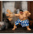 Jada Toys Ultra Street Fighter II E. Honda 1/12 Scale Figure
