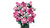 LEGO Botanicals10374 Bouquet Of Pink Roses