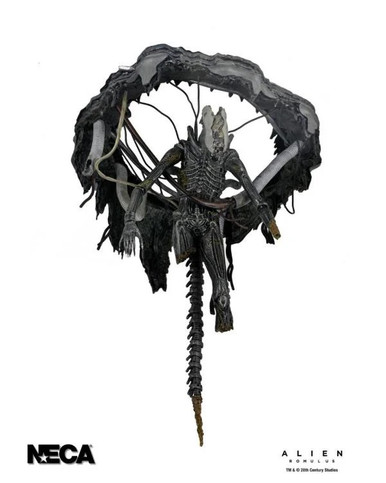 ALIEN ROMULUS フィギュア 約30cm NECA Alien Romulus Suspended Lab Xenomorph XX121 Deluxe 7