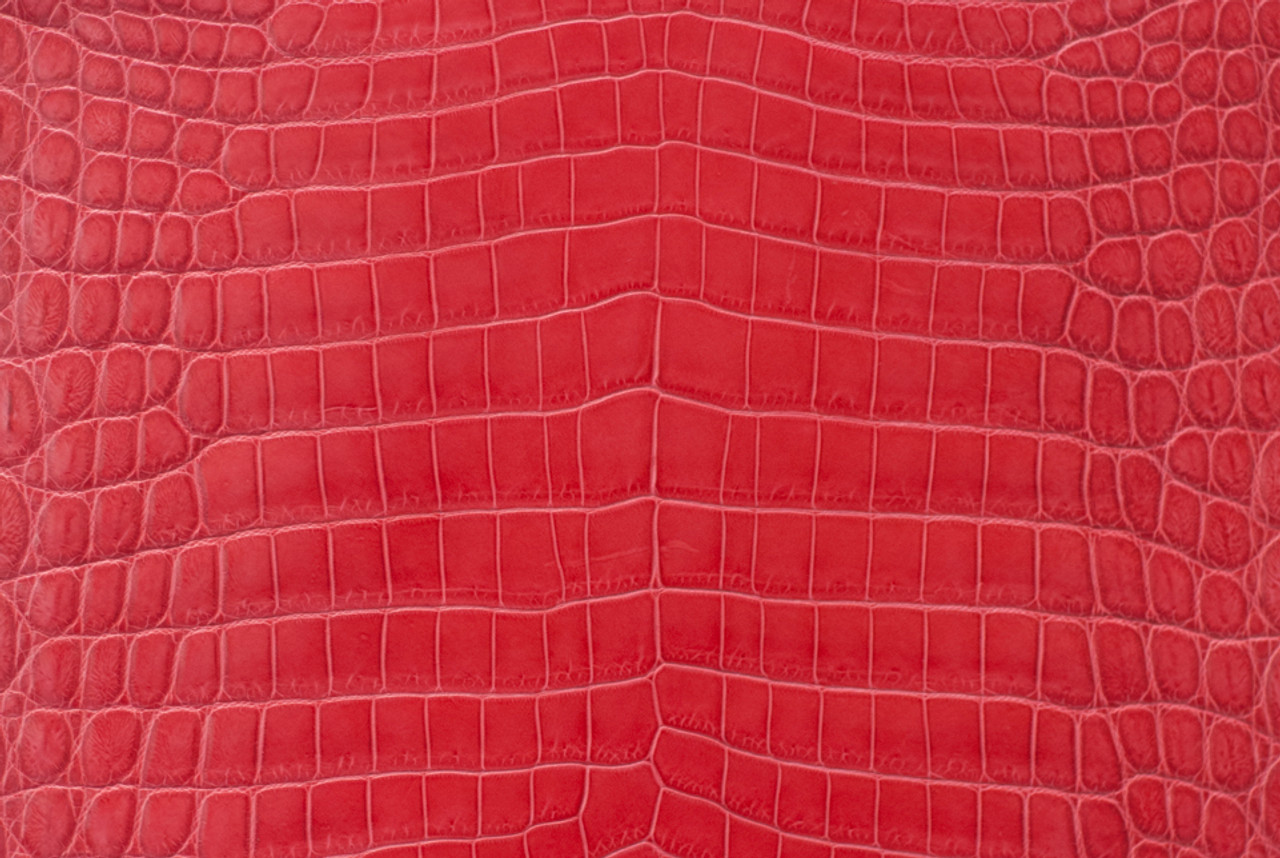 Nile Crocodile Skin Belly Millenium Red 35/39 cm