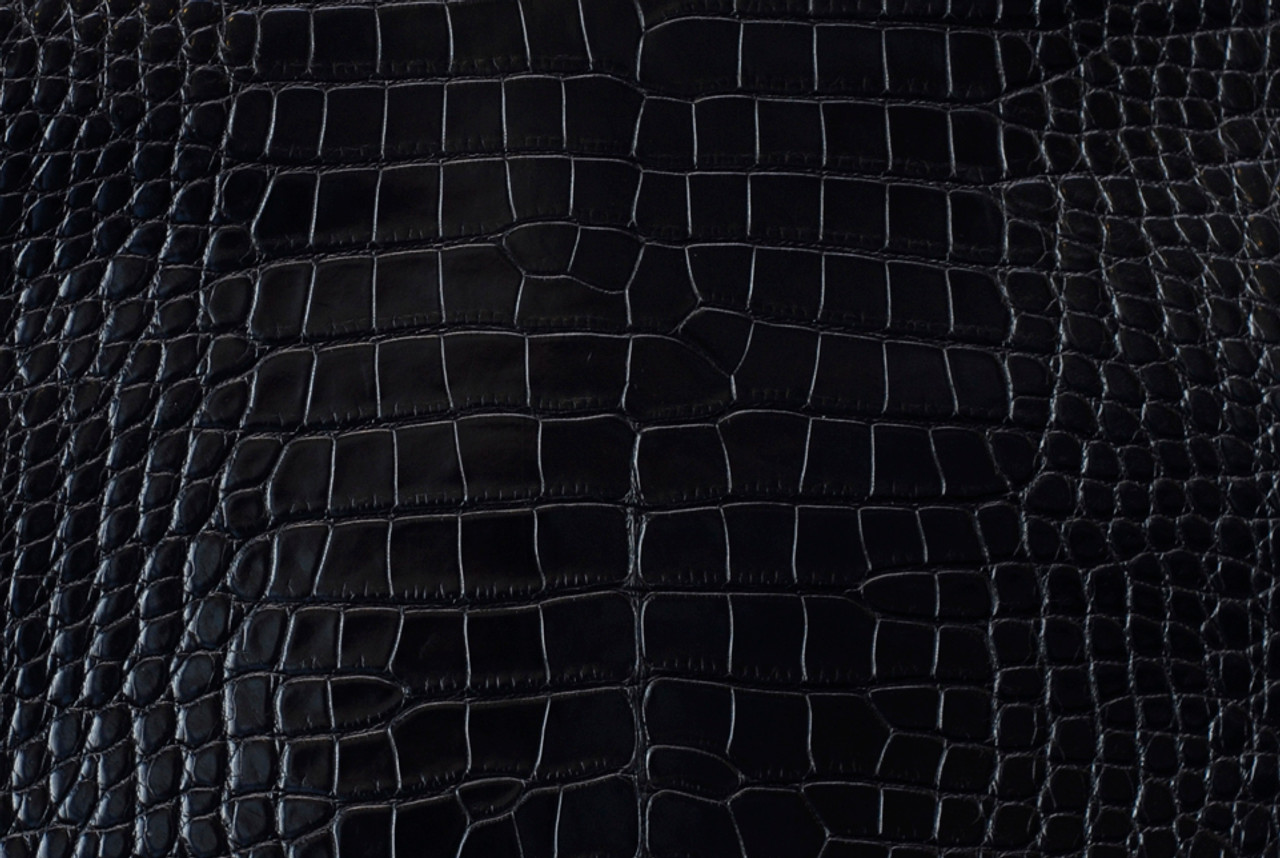 Nile Crocodile Skin Belly Glazed Black 45/49 cm