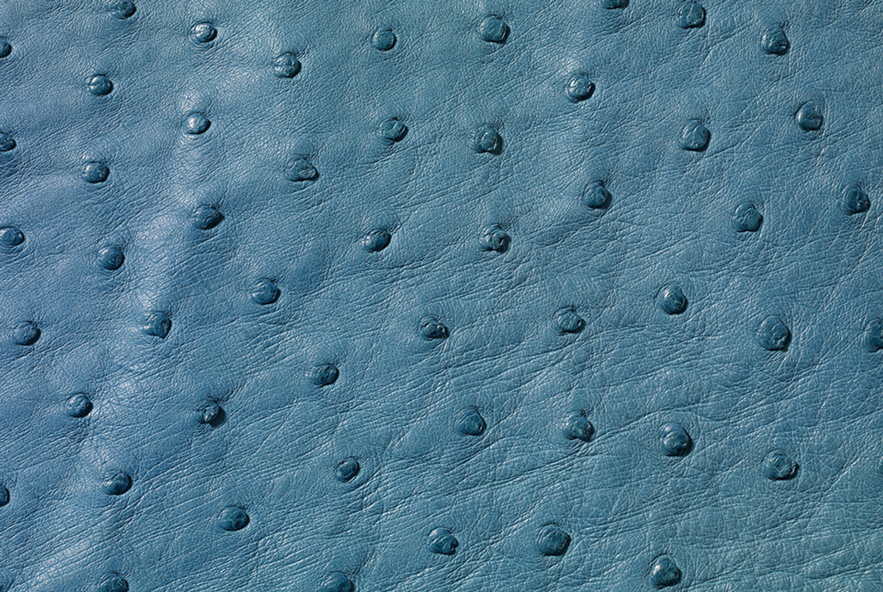 Ostrich Skin Leather - IRIS BLUE SF - 17.65 sq ft - Grade 1