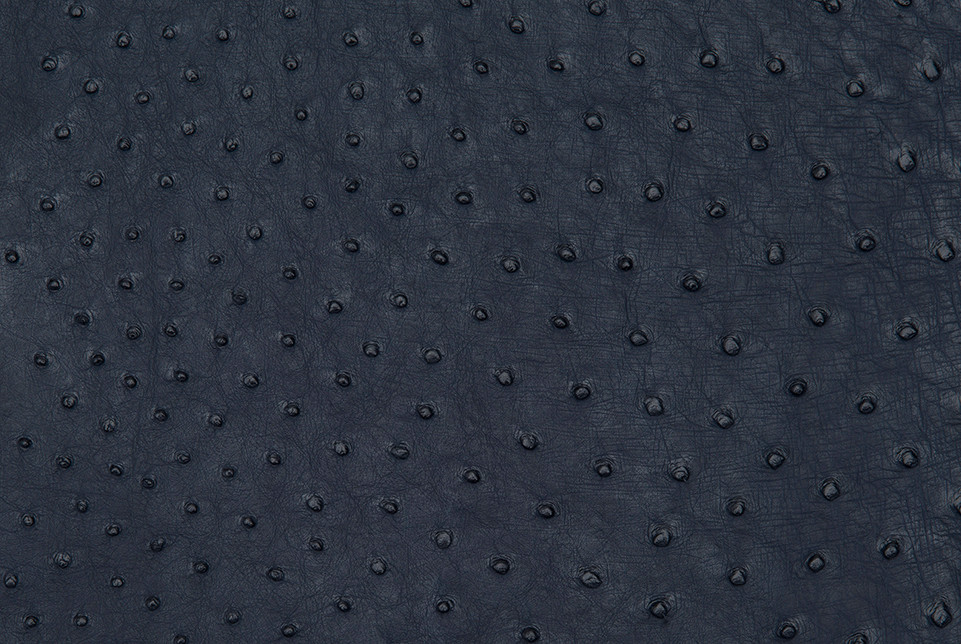 Ostrich Skin Saddle Finish Navy