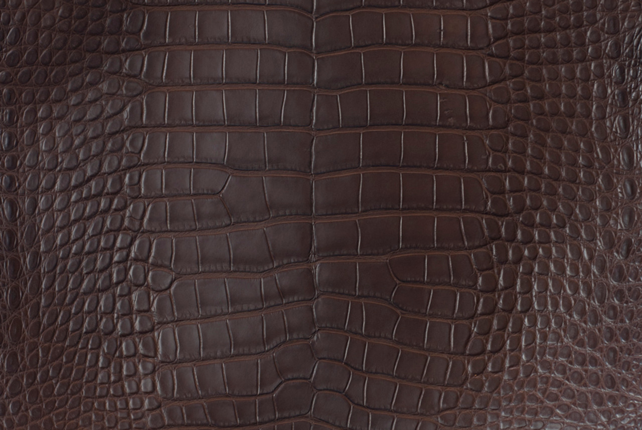 Light Brown Stomach Crocodile Leather Wallet