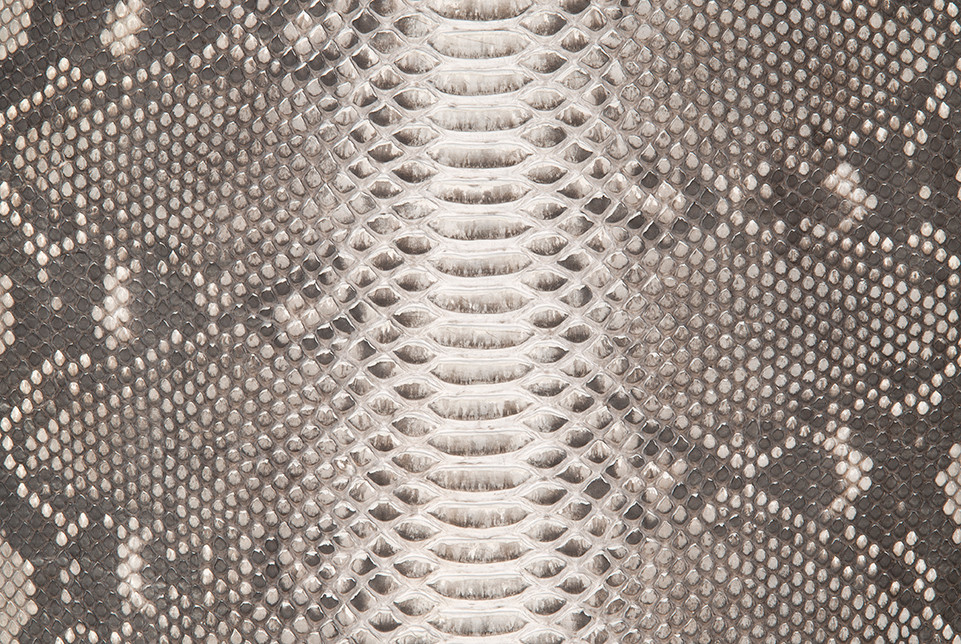 Lizard Skin Java BCUB Crust Natural