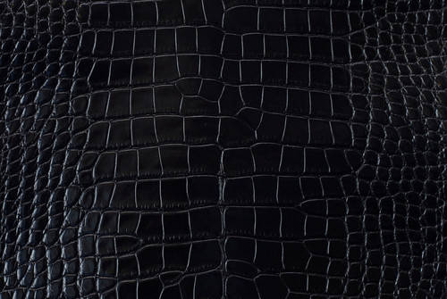 Nile Crocodile Skin Belly Millenium Black 30/34 cm