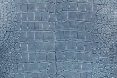Nile Crocodile Skin Belly Millenium Denim 40/44 cm