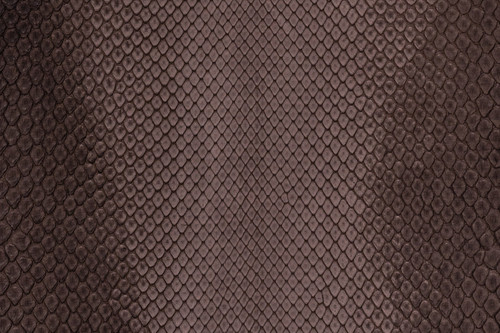 Python Skin Long Sinua Cafe