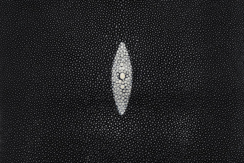 Stingray Skin Black 8"