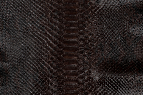 Python Skin Reticulated Lucido Dark Brown