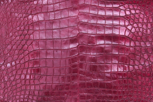 American Crocodile Skin Belly Matte Burgundy 45/49 cm
