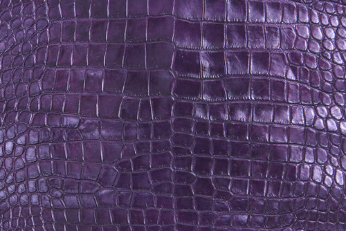 American Crocodile Skin Belly Matte Purple 45/49 cm