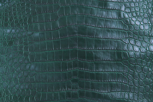 American Crocodile Skin Belly Matte Forest Green 55/59 cm