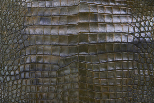 American Crocodile Skin Belly Matte Khaki Green 35/39 cm