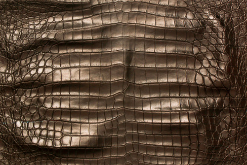 American Crocodile Skin Belly Garment Brown 55/59 cm