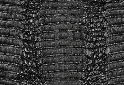 Caiman Hornback Matte Black 30/34 cm
