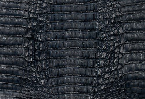 Caiman Hornback Matte Navy 25/29 cm