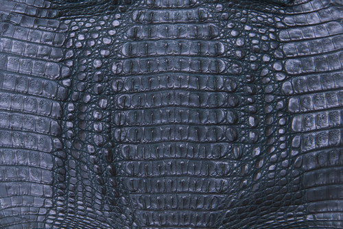 Caiman Hornback Matte Navy 25/29 cm