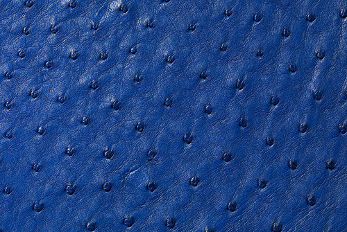 Ostrich Skin Saddle Finish Cobalt