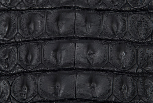 Crocodile Backstrap Black 80/89 cm
