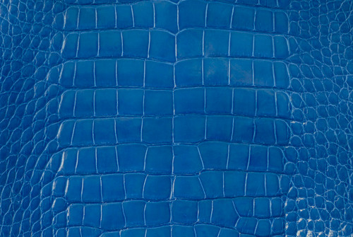 Alligator Skin Belly Glazed Cobalt 40/44 cm