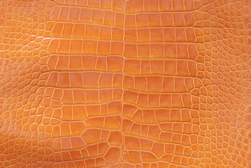 Alligator Skin Belly Glazed Mustard 40/44 cm