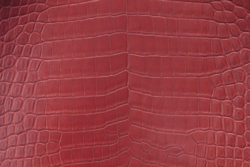 Alligator Skin Belly Glazed Ruby 45/49 cm