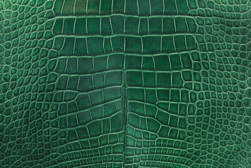 Ostrich Skin Leather - COGNAC MD - 16.6840 sq ft - Grade 1