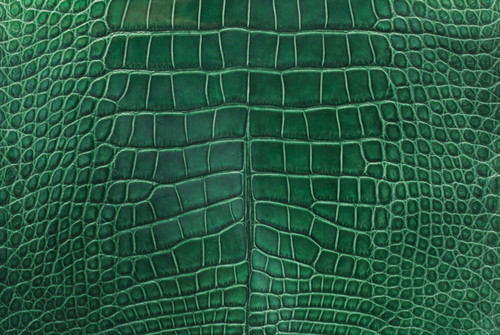 Alligator Skin Belly Matte Green