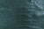 American Crocodile Skin Belly Matte Forest Green 65/69 cm