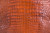 American Crocodile Skin Belly Matte Honey 35/39 cm