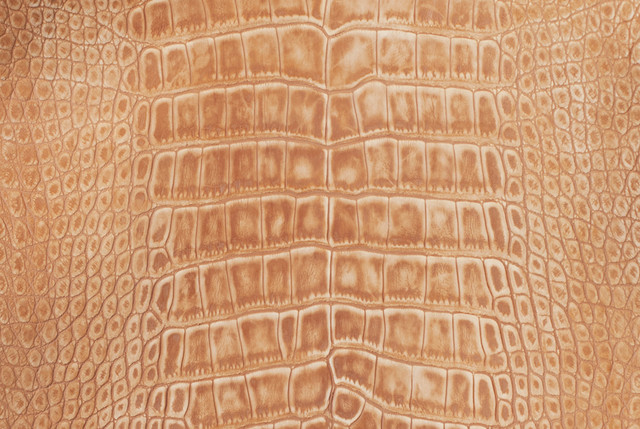 Lizard Skin Java BCUB Crust Natural