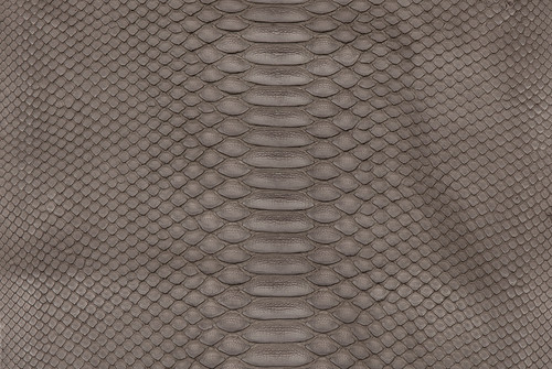 Python Skin Matte Storm Front