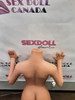 Like NEW - 148cm D-Cup - NO HEAD - JY DOLL