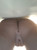 torso and abdomen detail close up realistic texture