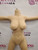 Front upper-body view of 150cm C-Cup YL Doll TPE body showing torso and semi-solid breasts