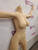 Rear angled view of 150cm C-Cup YL Doll TPE body highlighting back and hips