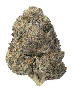 Double Runtz Indoor Medium 29% THCa Flower Double Runtz Indoor Medium 29% THCa Flower