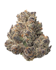 Divorce Cake Indoor Exotic 25% THCa Flower Divorce Cake Indoor Exotic 25% THCa Flower