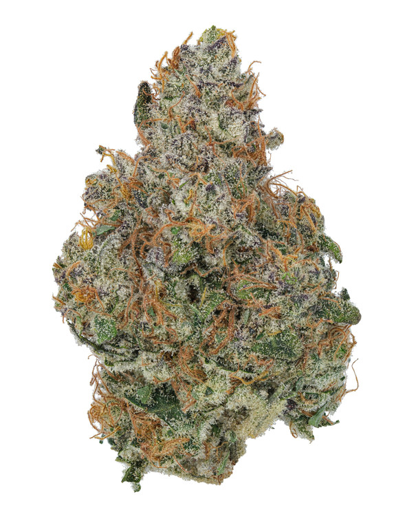 GMO Cookies Hamarki Cut Private Reserve 28% THCa