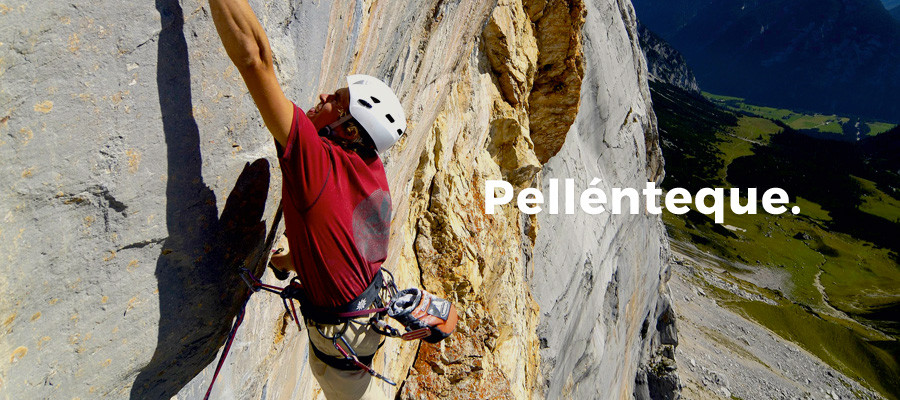 Saliquam mollis accumsan mios delites hendres