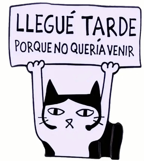 LLeugé Tarde Cat enamel pin