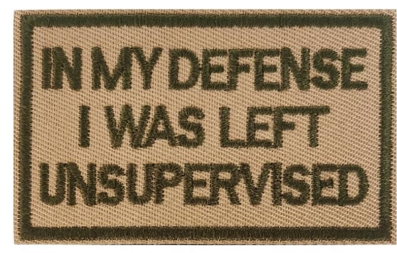 Embroidery Patch - in My Defense I was Left Unsupervised Embroidery Patch - in My Defense I was Left Unsupervised