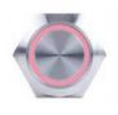 SIERRAMARINE AV10060R PUSH BUTTON POWER SWITCH  RED HALO Momentary On/ Off Switch; 10 Amp; 12 Volt DC; Red; Stainless Steel