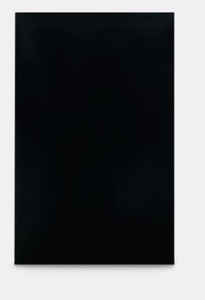 DOMETIC 3106863.305C A DOOR PNL BLK-DM2672/2682 Upper And Lower Door Panels Fit Dometic DM2672 And DM2682 Model Refrigerators; Black; Acrylic