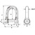 Wichard Self-Locking Allen Head Pin D Shackle - 12mm Diameter - 15\/32"