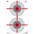 Birchwood Casey Eze-Scorer Target, Double Bull's-Eye, 23X35, 100 Targets BC-37031