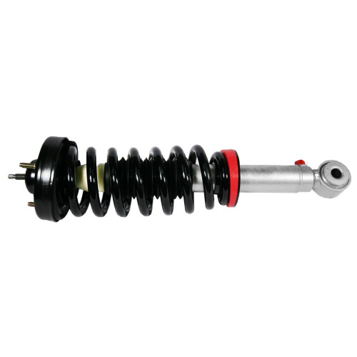 272-RS999936